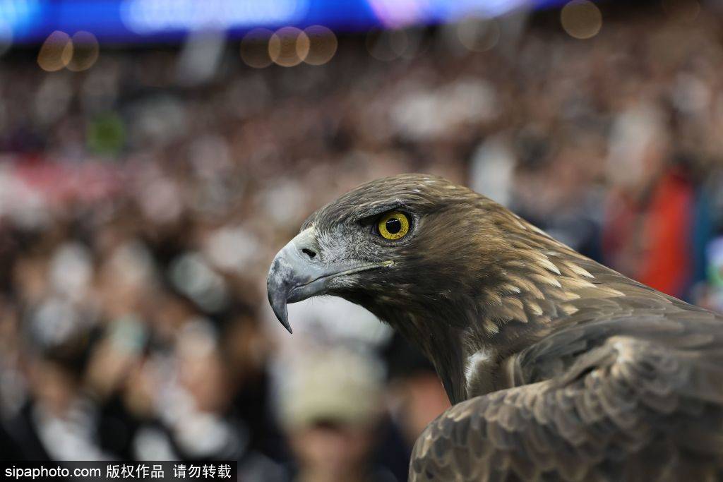 引力巨大, 佳的传控能